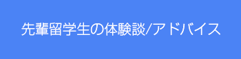 先輩留学生の体験談 / アドバイス